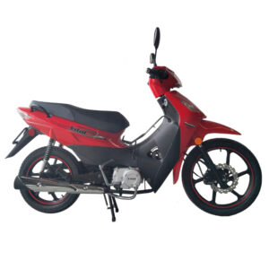 Pollerita 125cc