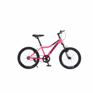 Bici niña LOTTO ( 20)