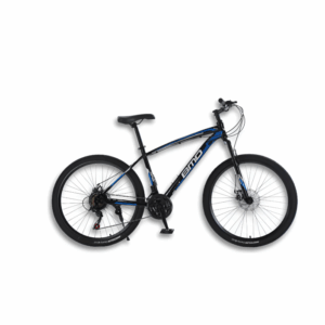 Bicicleta BMD (29)