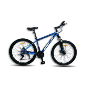 Bicicleta KIOTO (29)